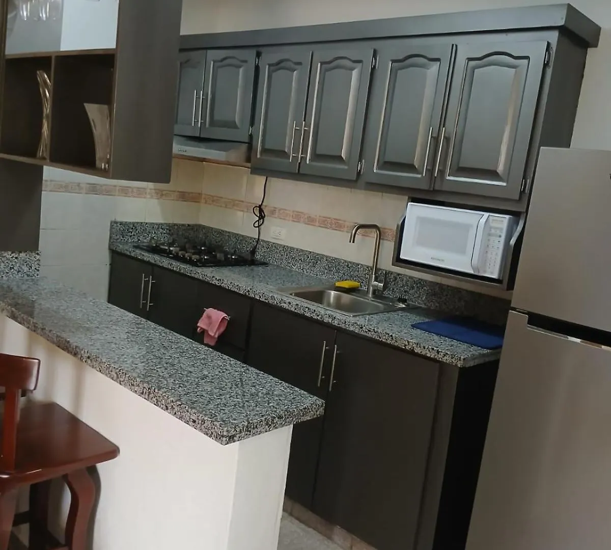 Casas Y Apartamentos En Boca Chica