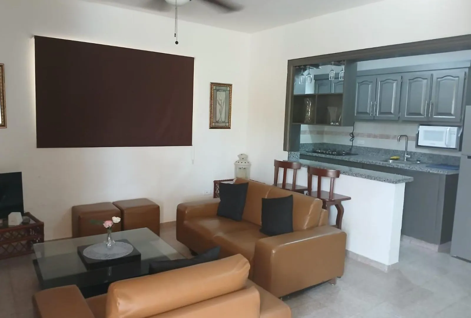 Casas Y Apartamentos En Boca Chica